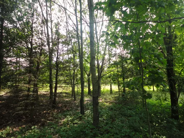 Grand Junction, MI 49056,parcel A CR 215