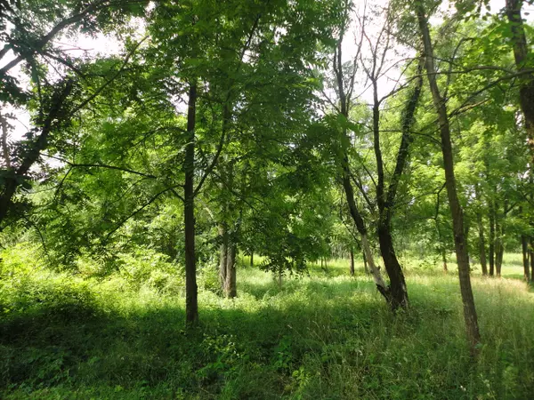 parcel A CR 215, Grand Junction, MI 49056