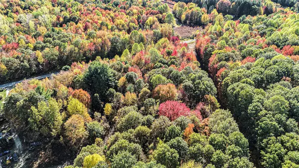 Covert, MI 49043,70744 28th Avenue