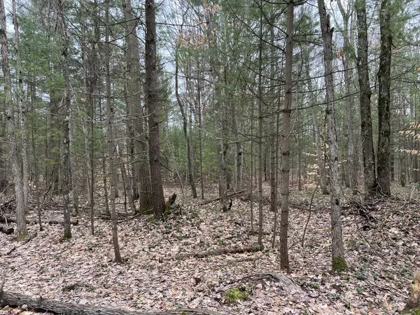 Free Soil, MI 49411,N Cherry Lane