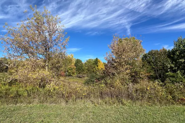 5577 Cannon Meadows Drive, Ada, MI 49301