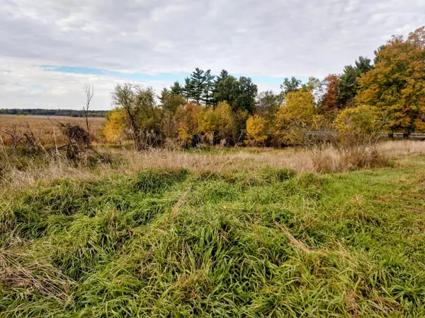 Carson City, MI 48811,Lot 1 Condensery Road