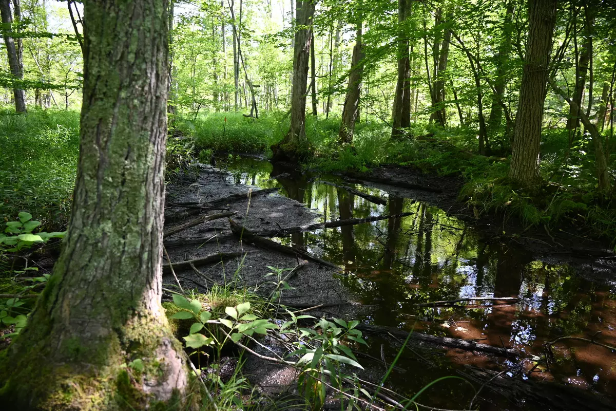 Newaygo, MI 49337,0 36th Street