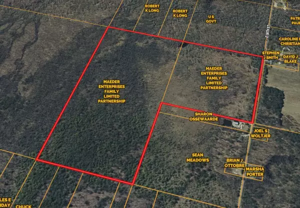 Newaygo, MI 49337,0 36th Street