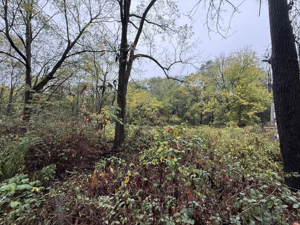 Plainwell, MI 49080,771 N Main Street