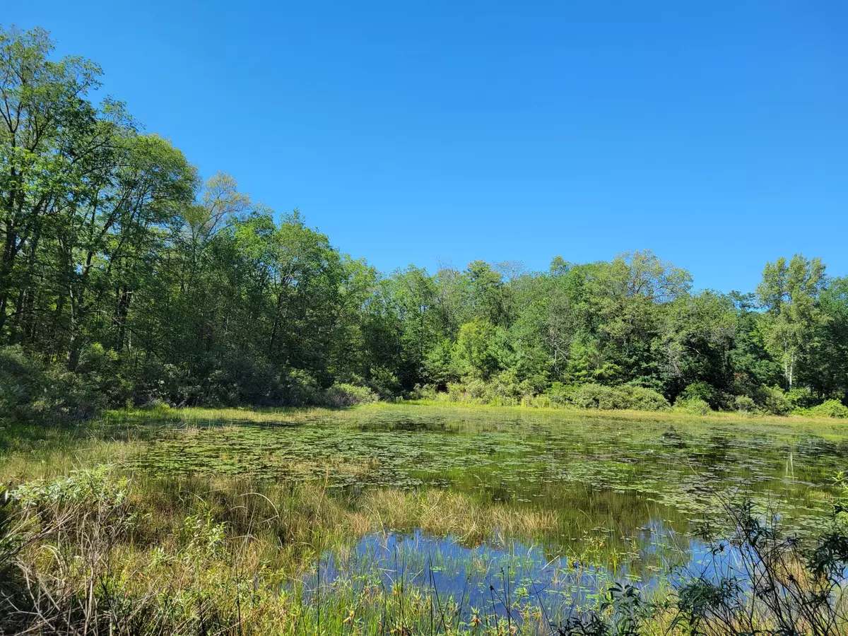 Wellston, MI 49689,Lots 1-9 Cranberry Street