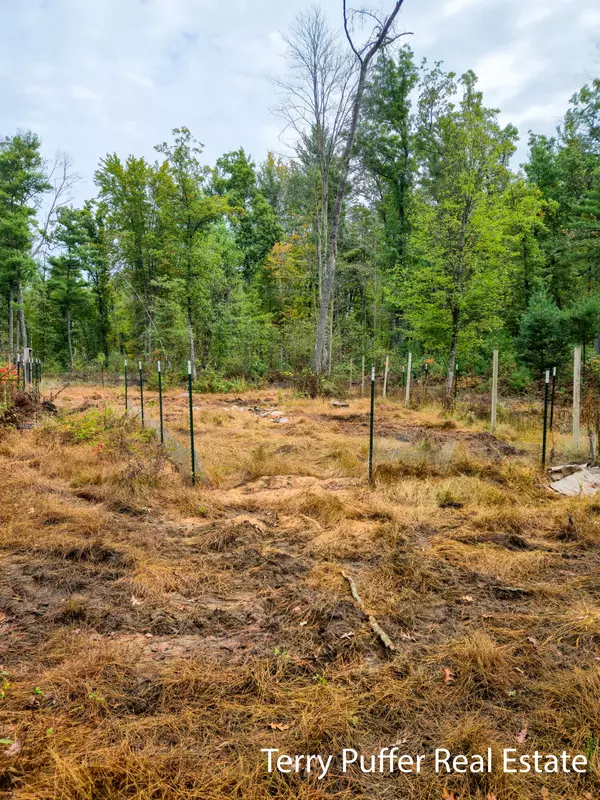 Holton, MI 49425,11509 Blue Lake Road