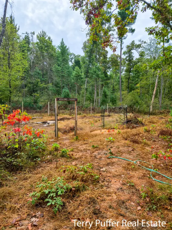 Holton, MI 49425,11509 Blue Lake Road