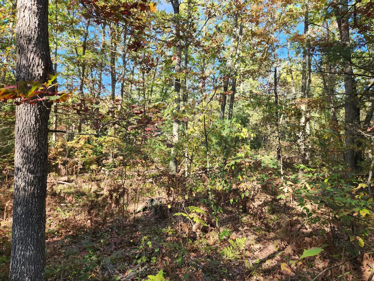 Wellston, MI 49689,259 S Baker Road