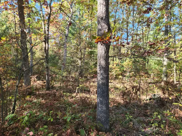 Wellston, MI 49689,259 S Baker Road