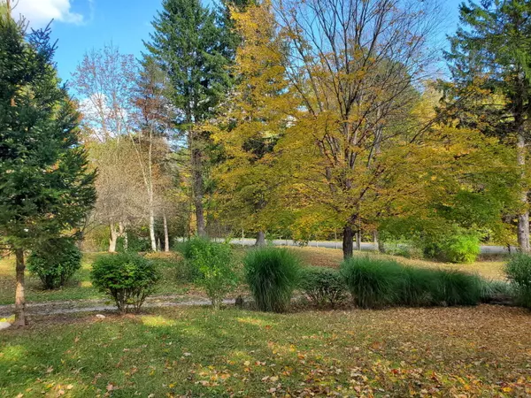 Stanwood, MI 49346,9173 220th Avenue