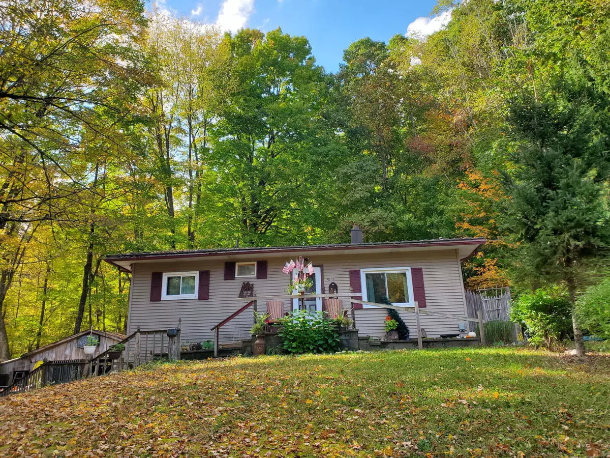 Stanwood, MI 49346,9173 220th Avenue