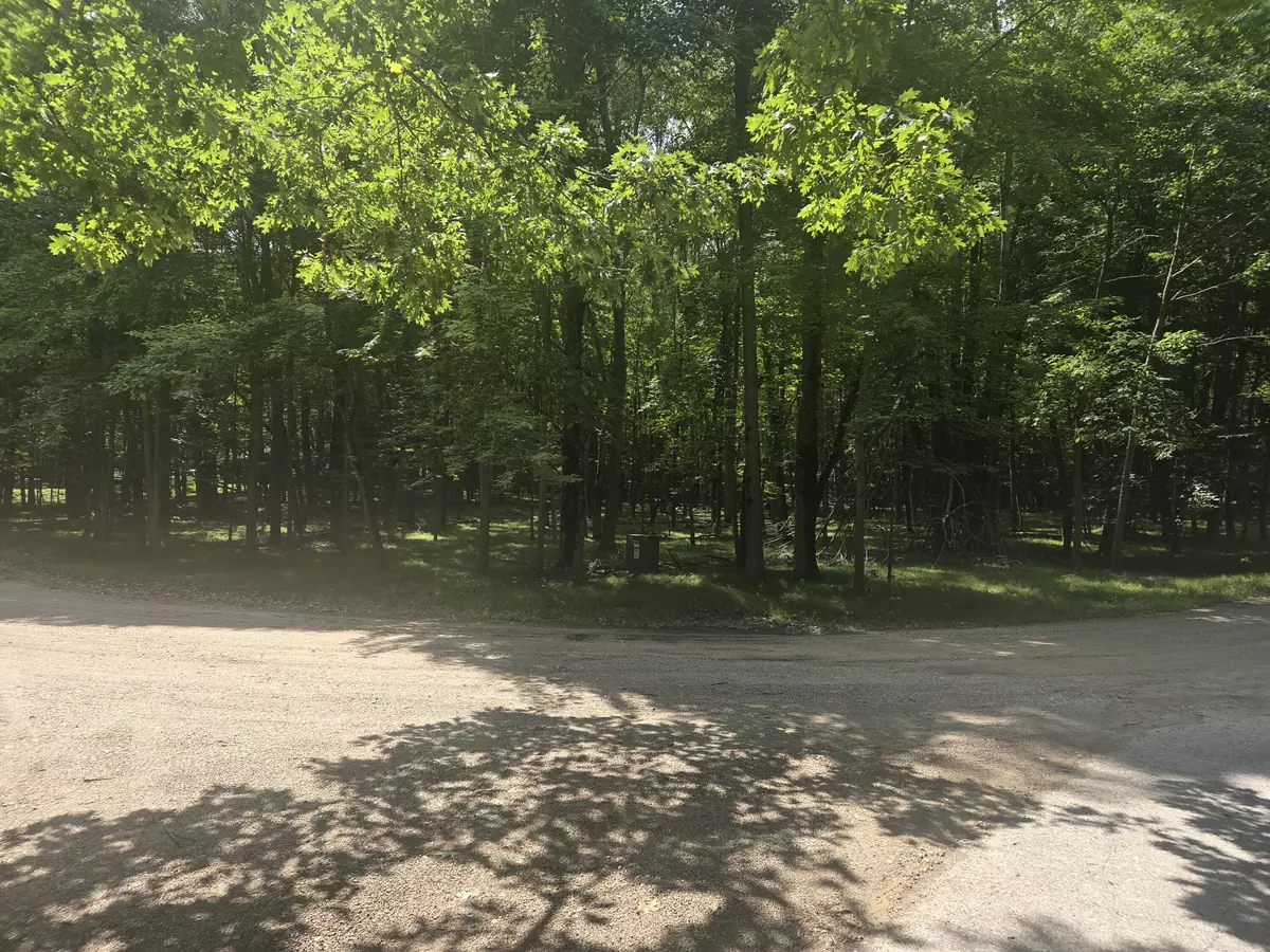 Canadian Lakes, MI 49346,12121 Trail Creek