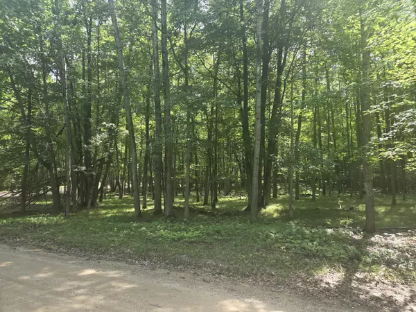 Canadian Lakes, MI 49346,12121 Trail Creek