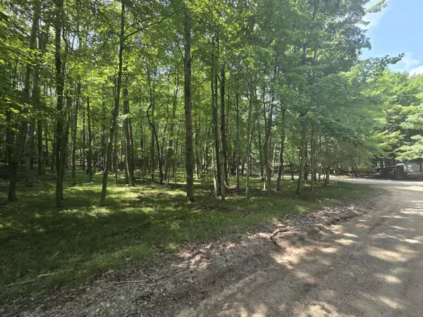 Canadian Lakes, MI 49346,12121 Trail Creek