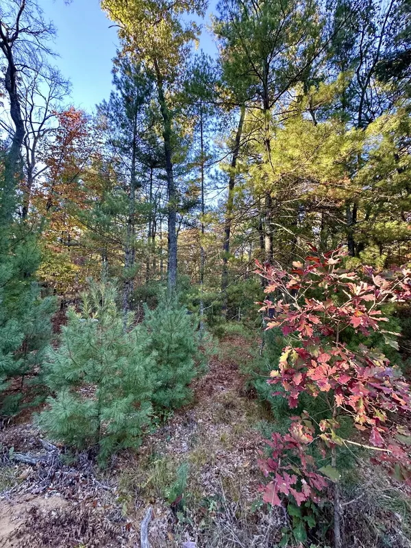 Twin Lake, MI 49457,6043 Holton-Duck Lake Road