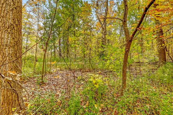 Grand Rapids, MI 49544,VL 4 Mile NW Road