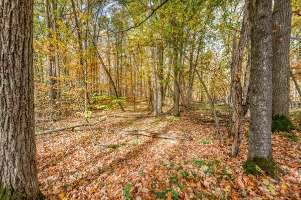 V/L Old Logging Rd, Hersey, MI 49639
