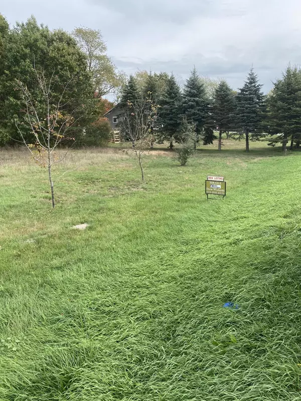 Coopersville, MI 49404,8517 Leonard Street