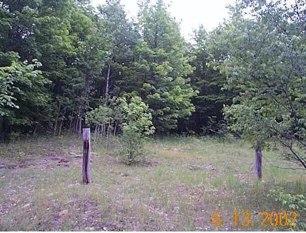 0 Deward Road, Frederic, MI 49733