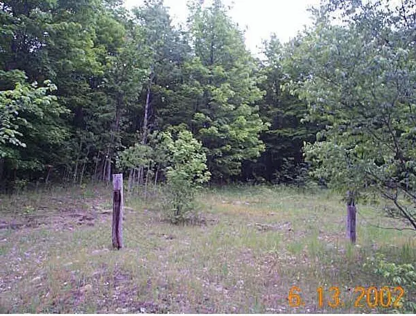 0 Deward Road,  Frederic,  MI 49733