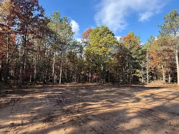 Baldwin, MI 49304,6710 W Dana's Circle