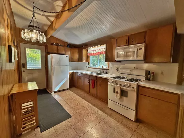 Canadian Lakes, MI 49346,11167 Birwood Drive