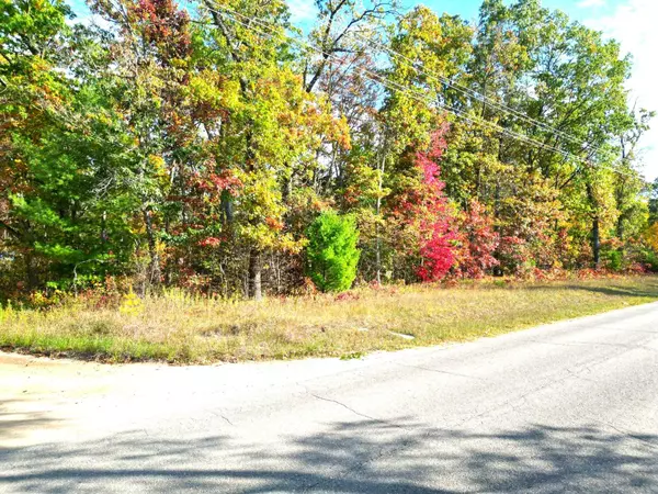 Bitely, MI 49309,2372 W Oakwood Boulevard