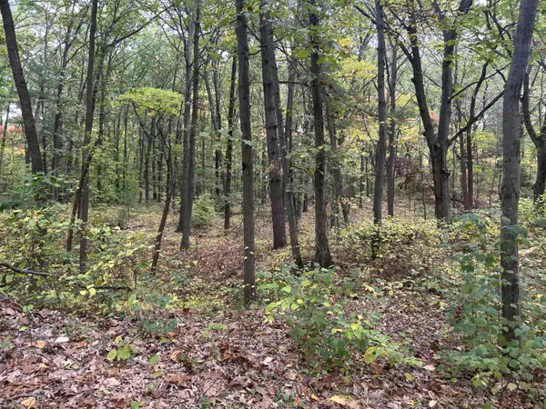 Coloma, MI 49038,4051 Highview Path