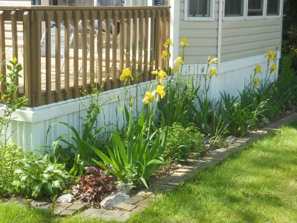 Saugatuck, MI 49453,6473 Blue Star Highway #12