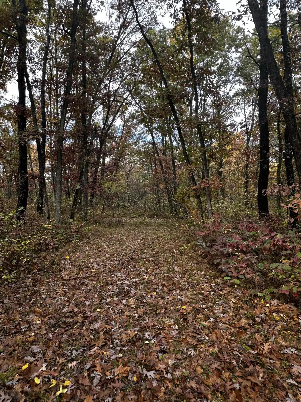 Irons, MI 49644,6421 N Irons Road