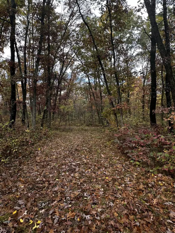 6421 N Irons Road, Irons, MI 49644