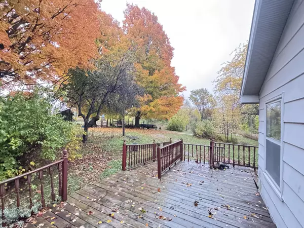 Walkerville, MI 49459,4496 N 172nd Avenue