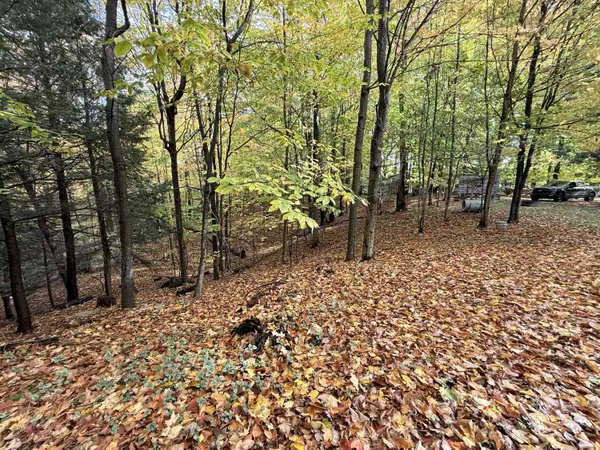 Shelby, MI 49455,7940 Florida Street