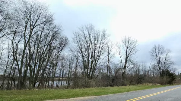 TBD N Derby Road, Six Lakes, MI 48886