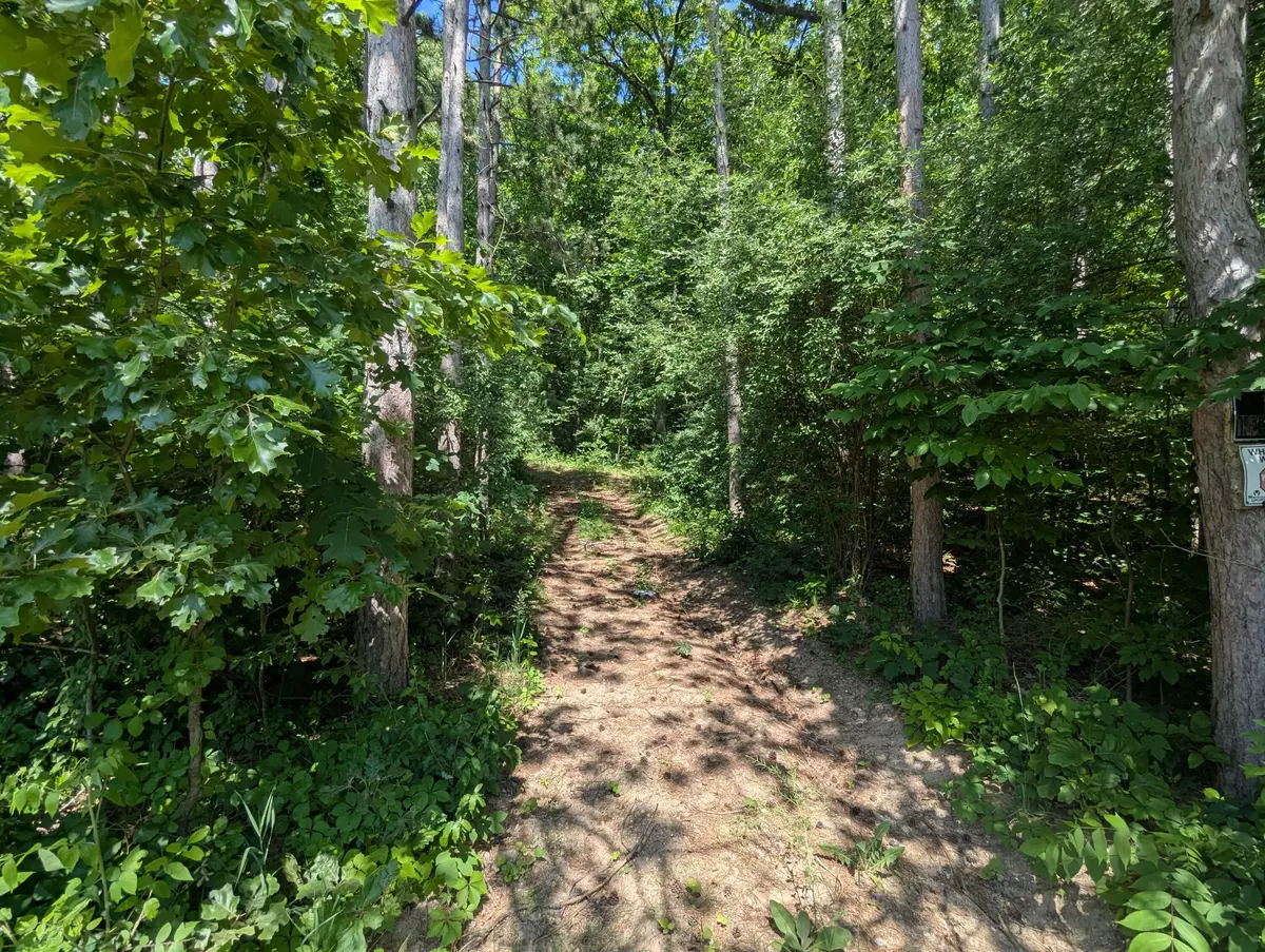 Bellevue, MI 49021,V/L North Avenue