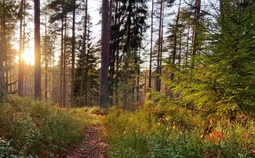 3719 Bradford NE Street, Grand Rapids, MI 49525