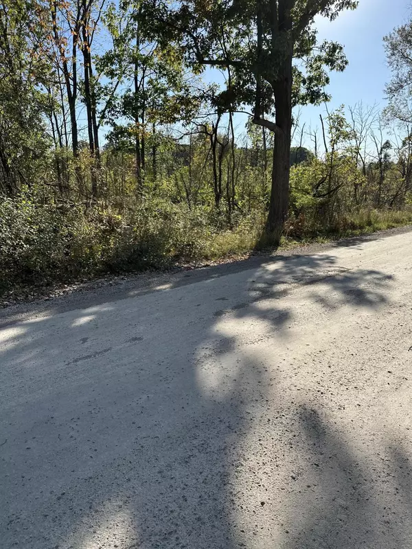 Ann Arbor, MI 48105,0 E Joy Road