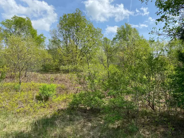 Cadillac, MI 49601,Crestview Drive