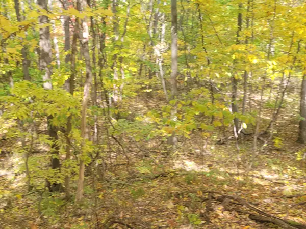 Lawton, MI 49065,74032 Ridgeway Drive