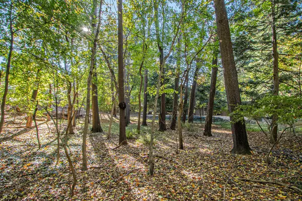 Kalamazoo, MI 49008,2525 Sheffield Drive