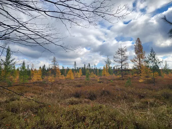 V/L Cadillac Drive, Lake, MI 48632