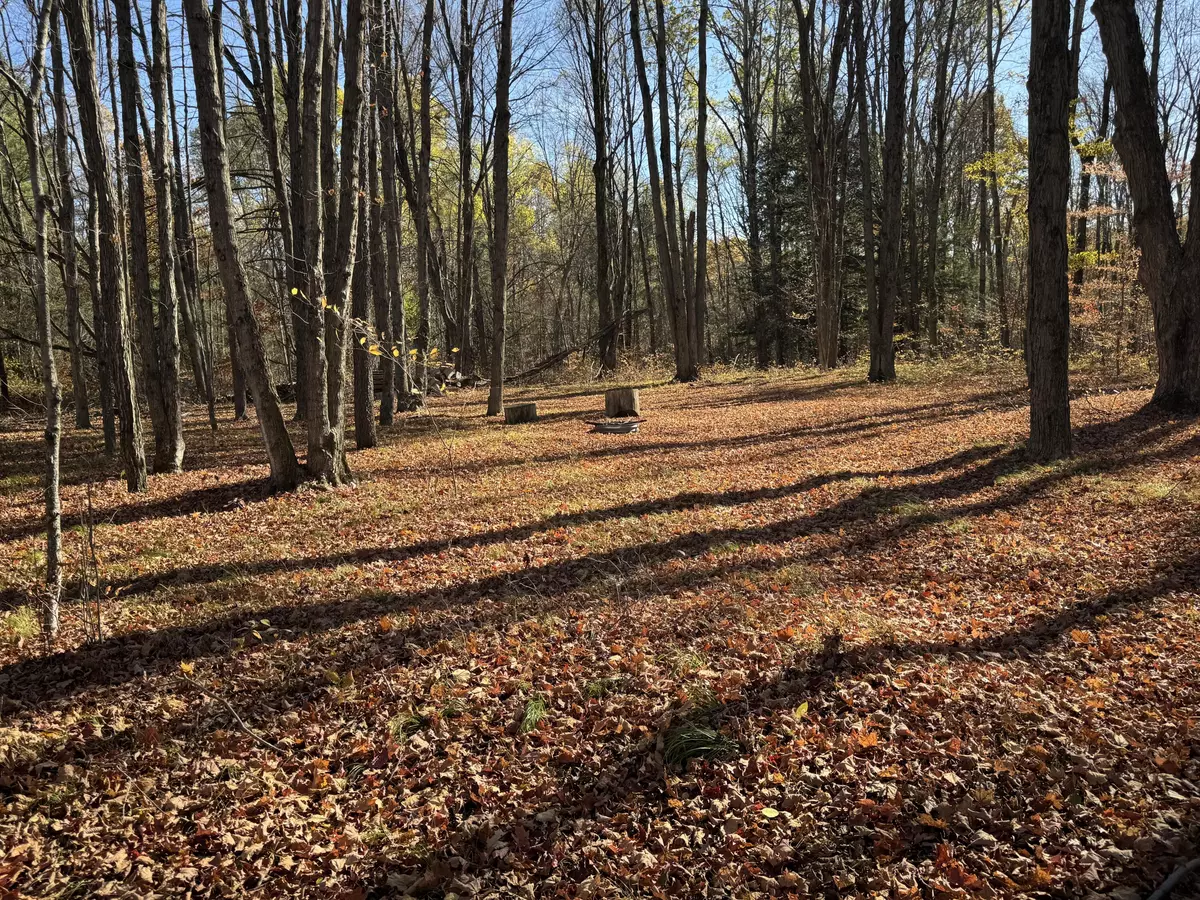 Hersey, MI 49639,3610 Riverview Dr.