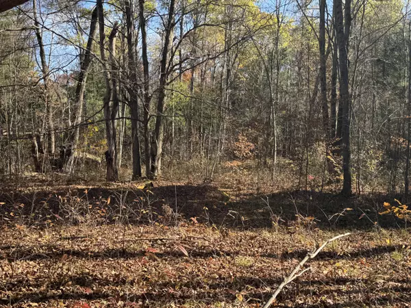 Hersey, MI 49639,3610 Riverview Dr.