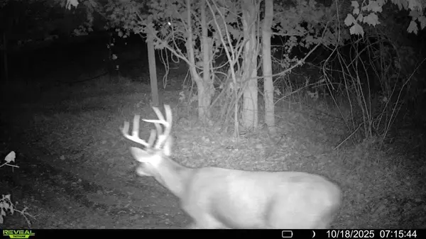 Sherwood, MI 49089,1182 Oliverda Road