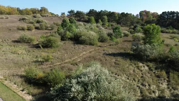 Benzonia, MI 49616,Lots 2 & 3 Fox Lane