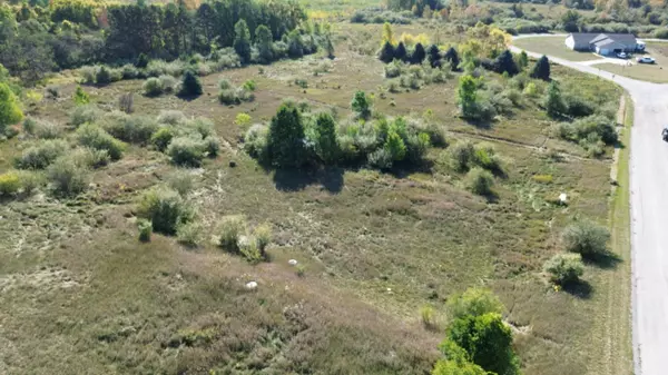 Lots 2 & 3 Fox Lane, Benzonia, MI 49616