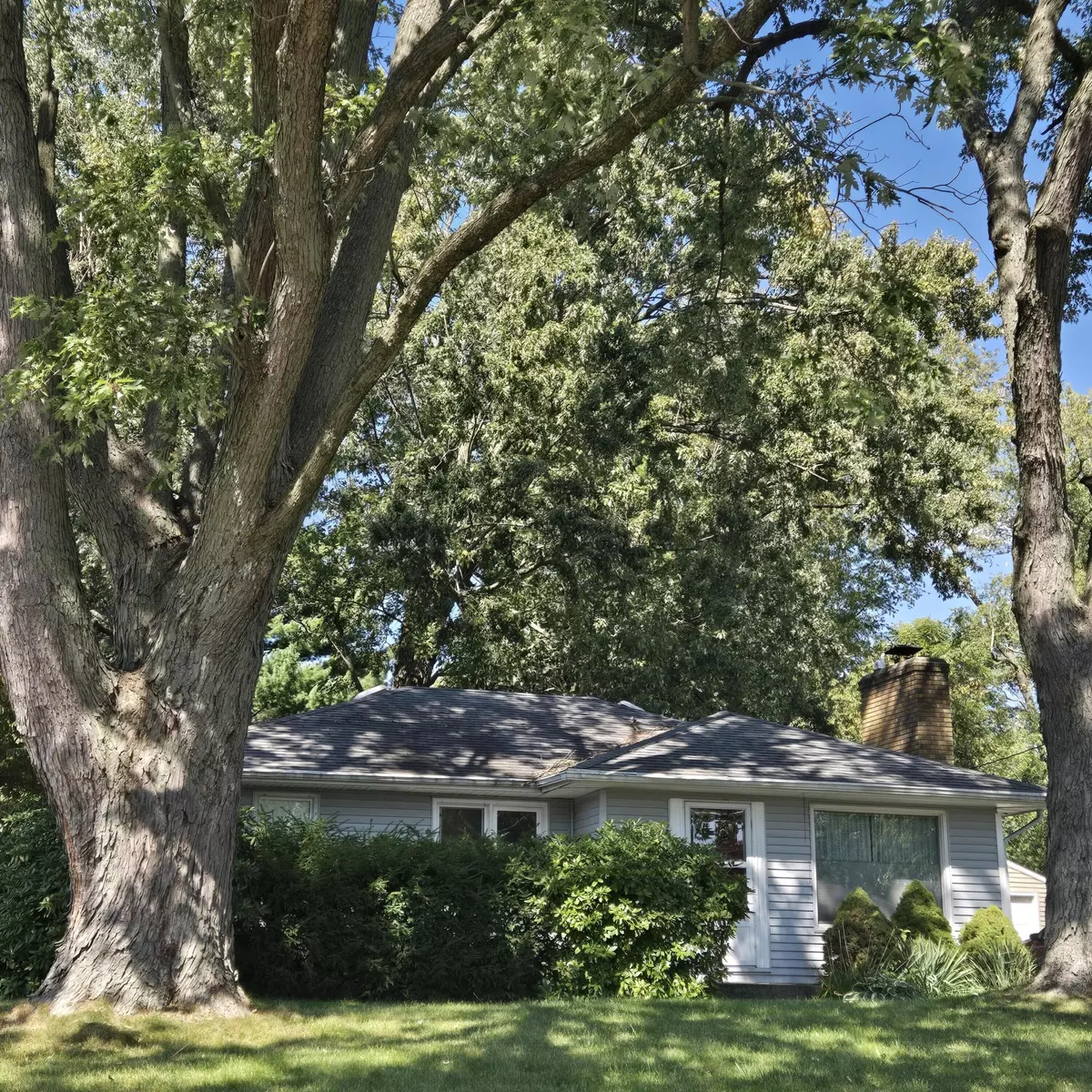 Kalamazoo, MI 49006,3104 Grace Road