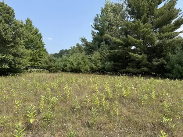 Canadian Lakes, MI 49346,7277 Ryans Run