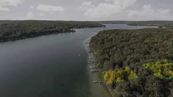 Walloon Lake, MI 49796,818 Whitfield View